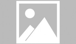 最新武器双刀爆料大全图,刀锋舞动，战力升级